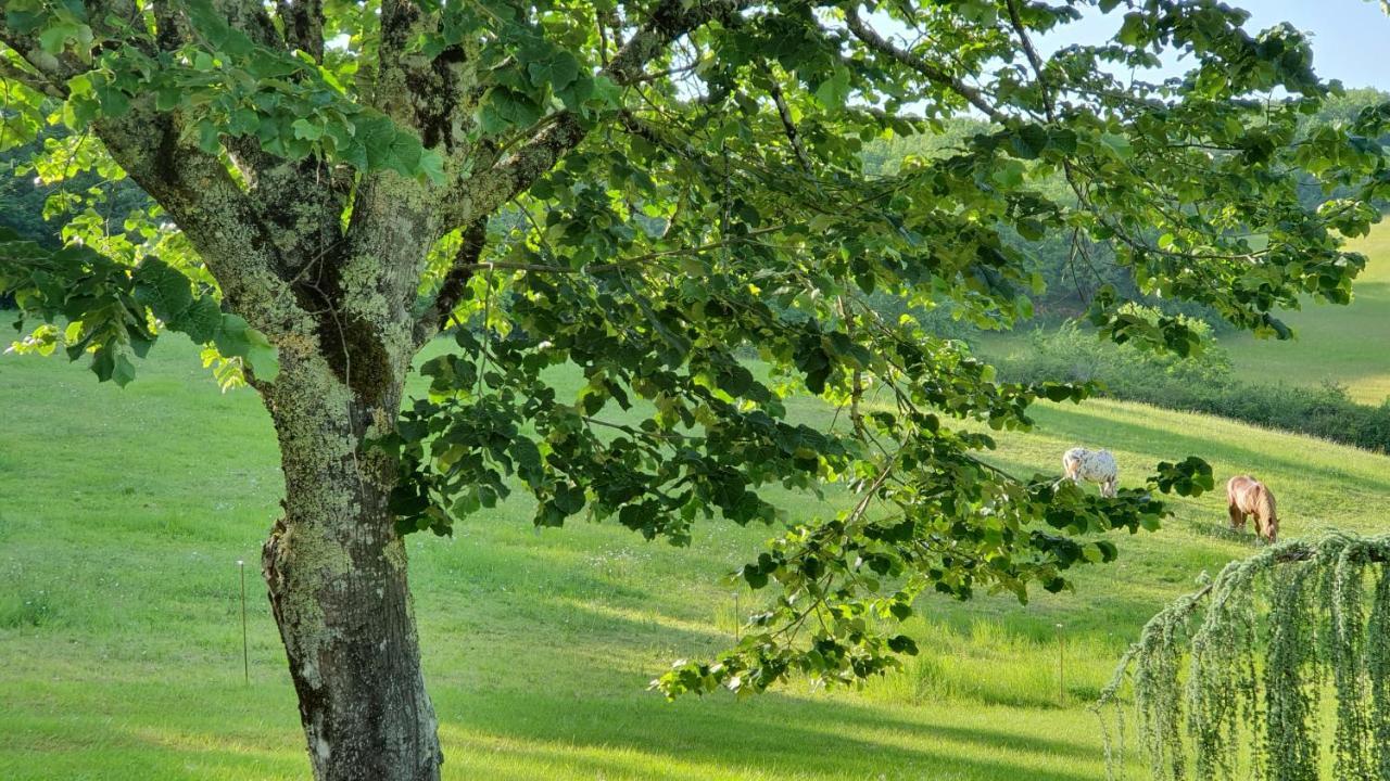 Отель Domaine Du Cardou Puy-l'Eveque Экстерьер фото
