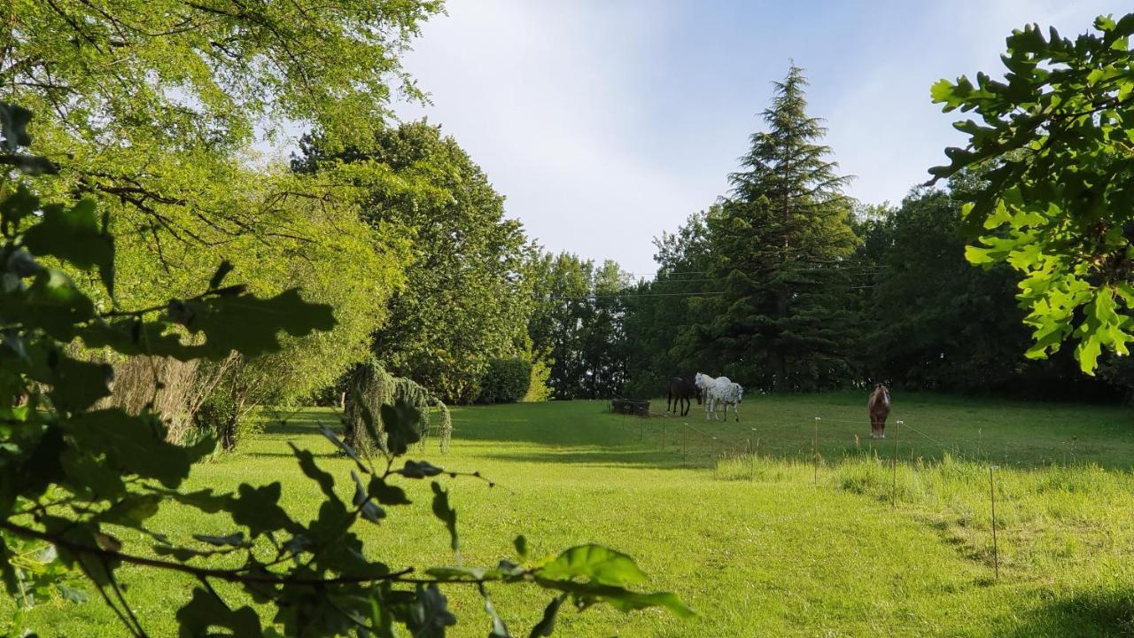 Отель Domaine Du Cardou Puy-l'Eveque Экстерьер фото