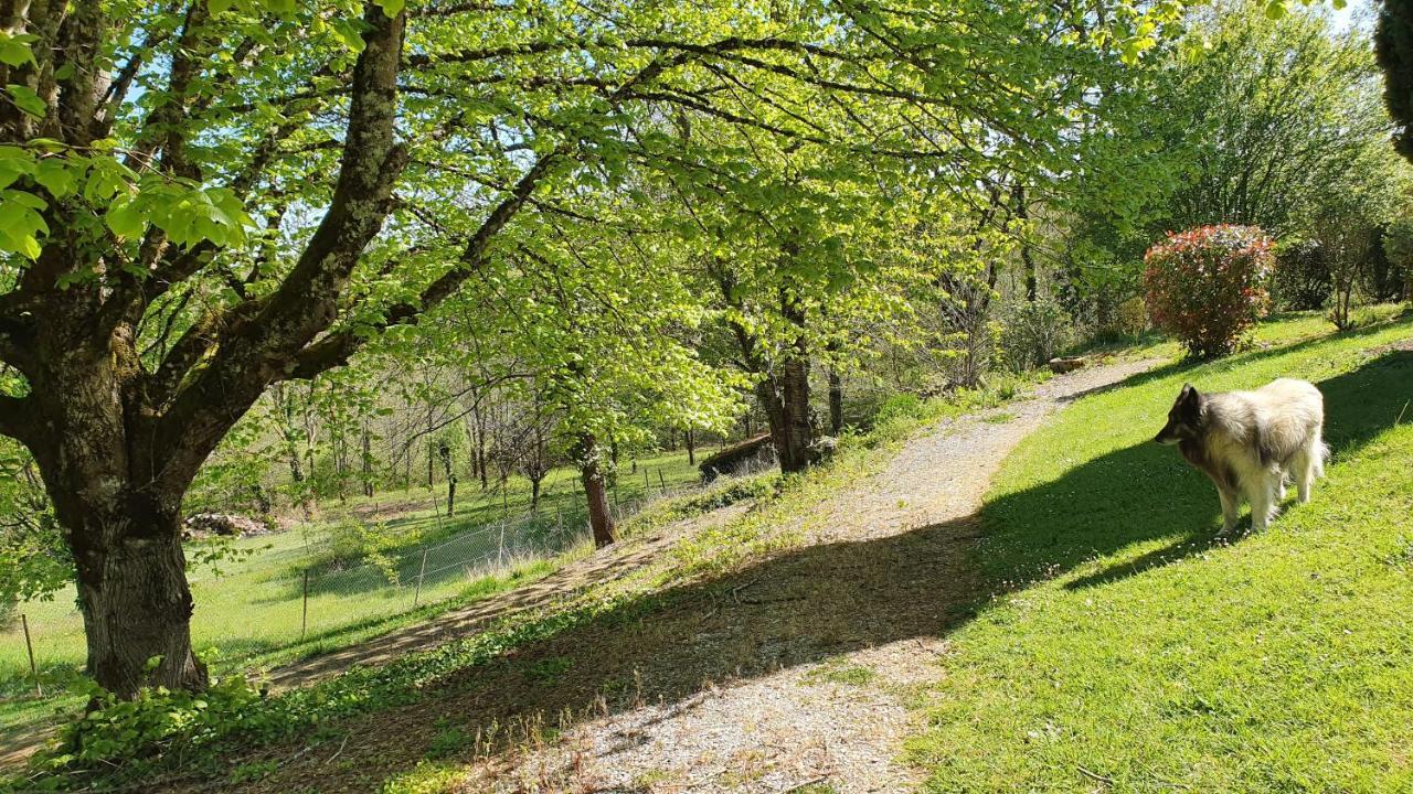 Отель Domaine Du Cardou Puy-l'Eveque Экстерьер фото